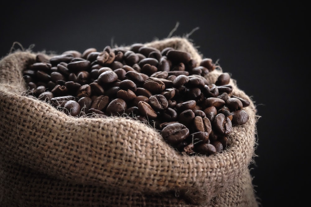 Caffè Aurora in grani 250g
